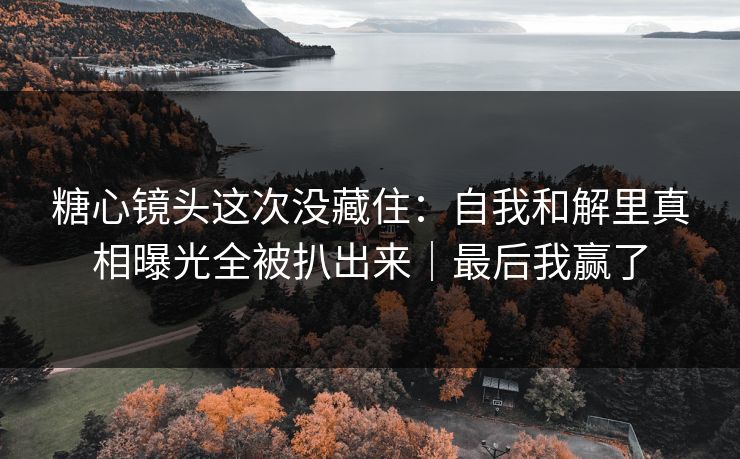 糖心镜头这次没藏住：自我和解里真相曝光全被扒出来｜最后我赢了