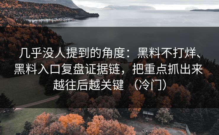 几乎没人提到的角度：黑料不打烊、黑料入口复盘证据链，把重点抓出来 越往后越关键 （冷门）