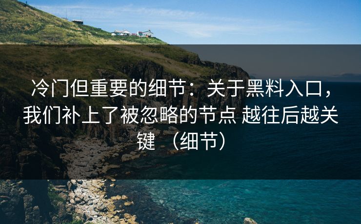 冷门但重要的细节：关于黑料入口，我们补上了被忽略的节点 越往后越关键 （细节）