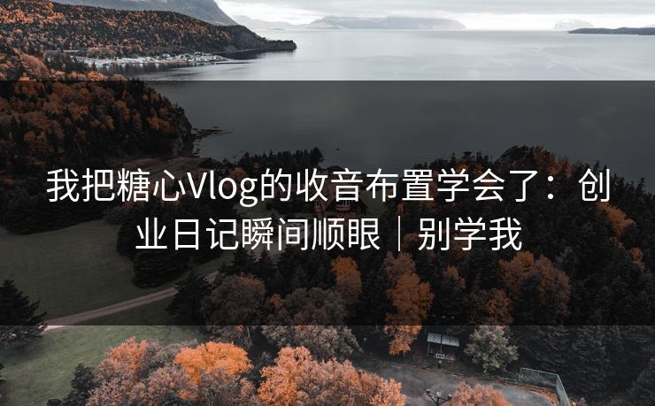 我把糖心Vlog的收音布置学会了：创业日记瞬间顺眼｜别学我