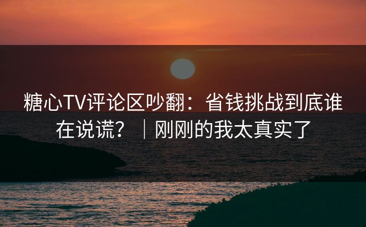 糖心TV评论区吵翻：省钱挑战到底谁在说谎？｜刚刚的我太真实了