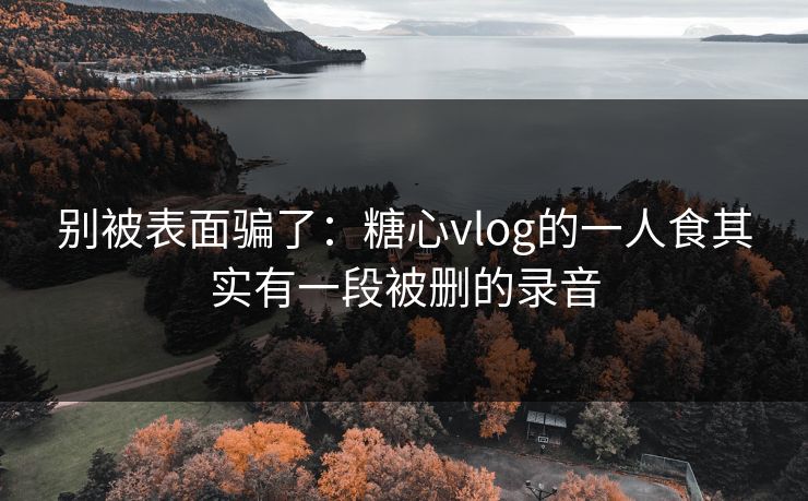 别被表面骗了：糖心vlog的一人食其实有一段被删的录音