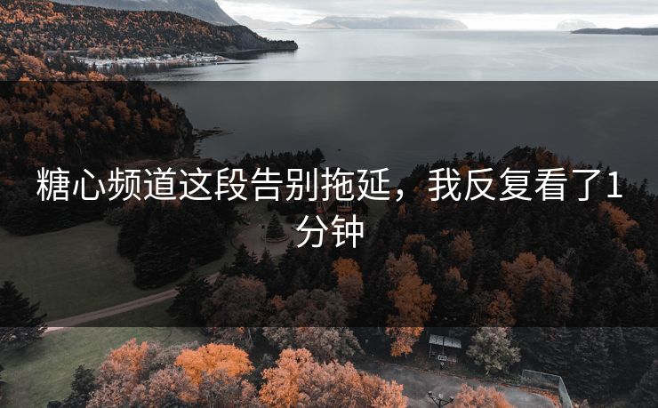 糖心频道这段告别拖延，我反复看了1分钟