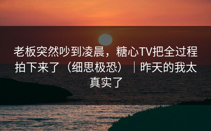 老板突然吵到凌晨，糖心TV把全过程拍下来了（细思极恐）｜昨天的我太真实了