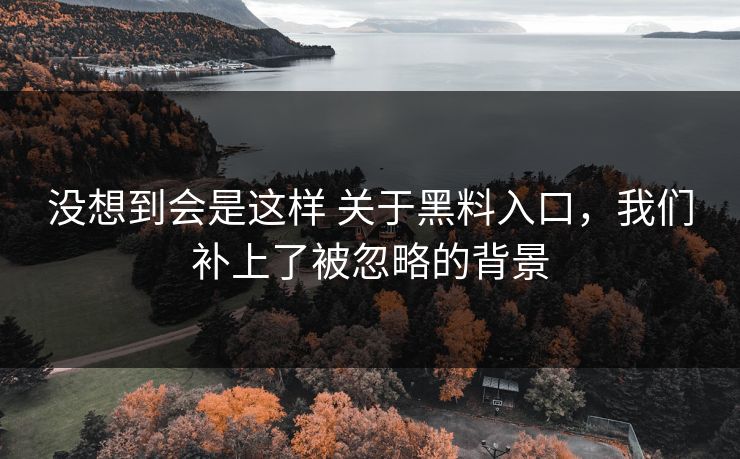 没想到会是这样 关于黑料入口，我们补上了被忽略的背景