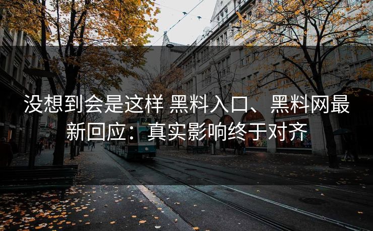 没想到会是这样 黑料入口、黑料网最新回应：真实影响终于对齐