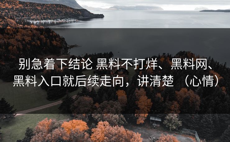 别急着下结论 黑料不打烊、黑料网、黑料入口就后续走向，讲清楚 （心情）
