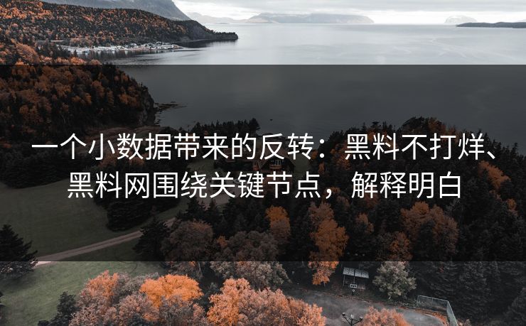 一个小数据带来的反转：黑料不打烊、黑料网围绕关键节点，解释明白